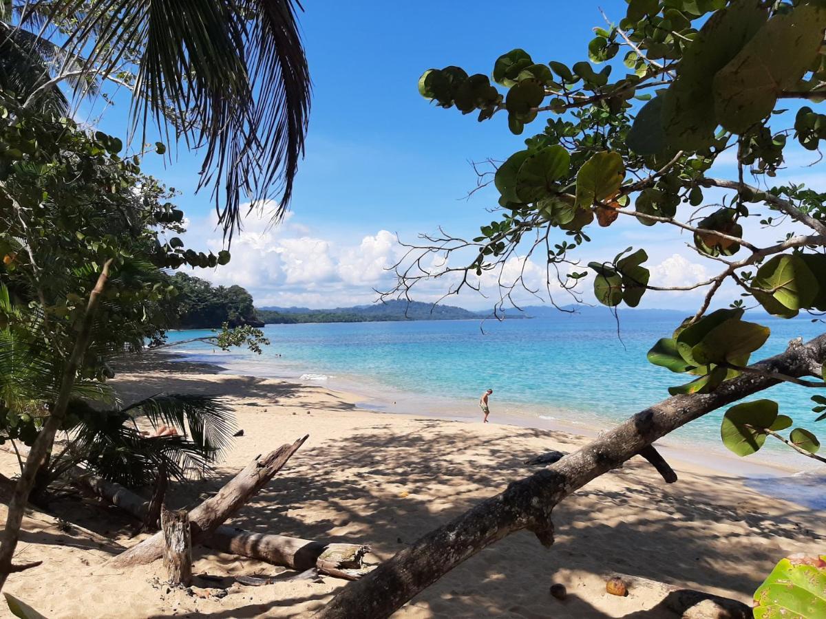 Puerto Viejo de Talamanca Ocean'S Breeze Apartment And Rooms מראה חיצוני תמונה